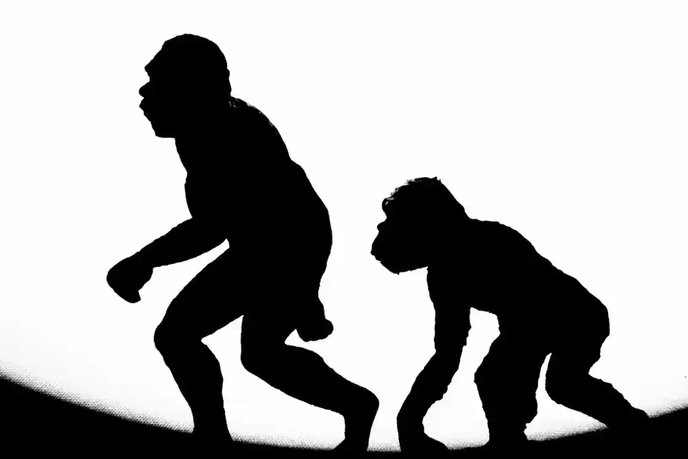 Precision Nutrition: „Das Paleo Problem“