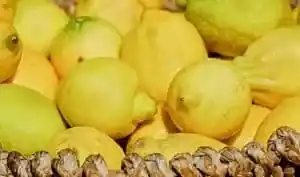 Zitrusfrüchte
