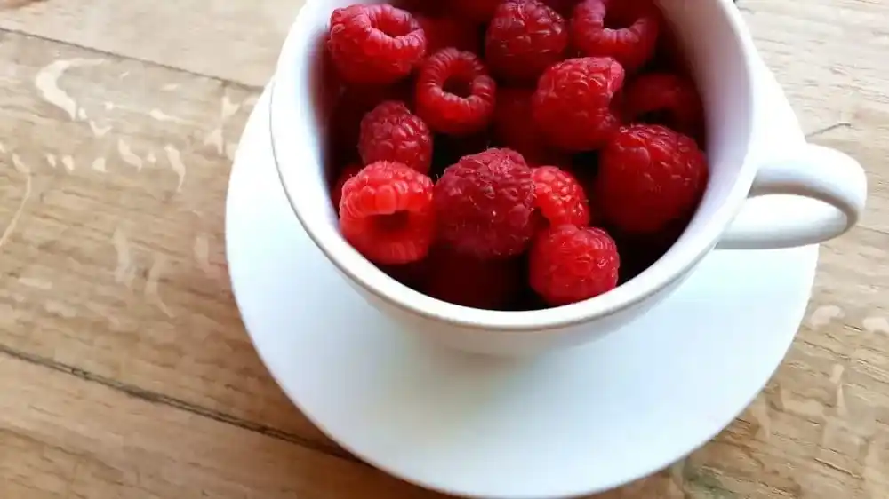 Himbeere