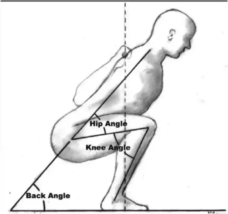 Squat Biomechanics