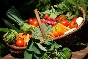 Frisches Obst und Gemüse