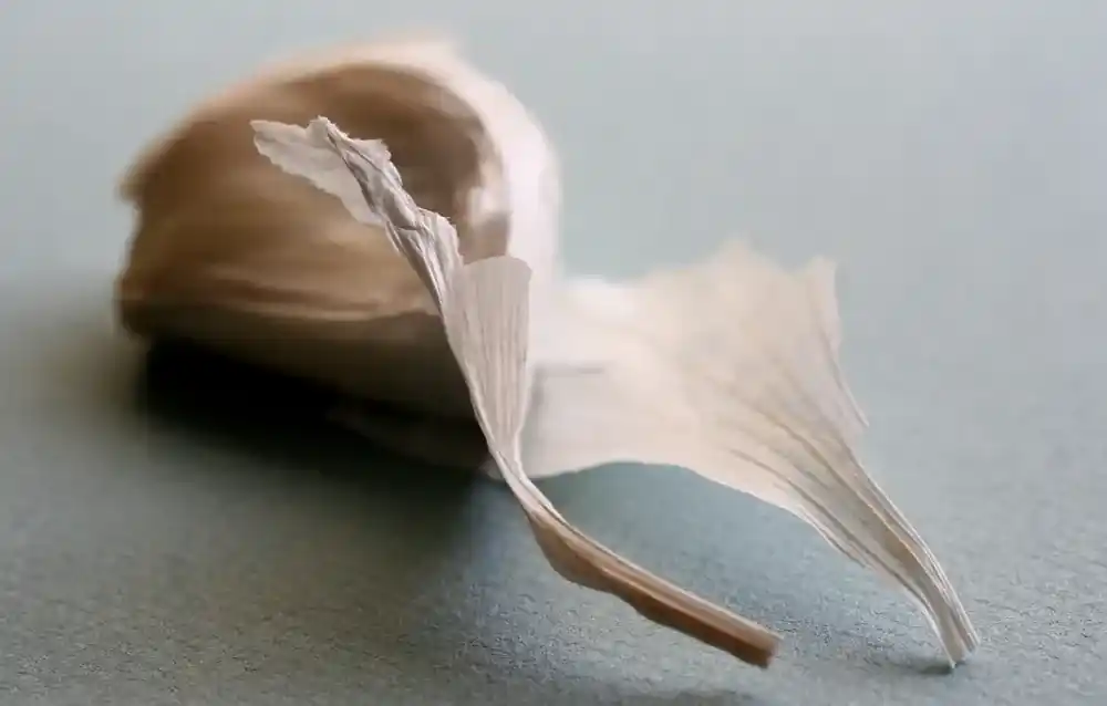 Knoblauch Bild
