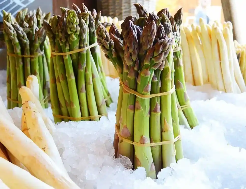 Rezept: Spargel-Soßen – Leckere Alternativen