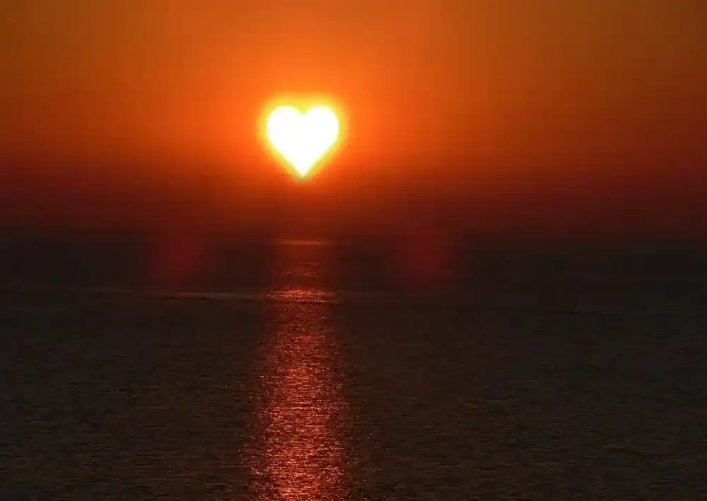 Vitamin D – Das Sonnenhormon