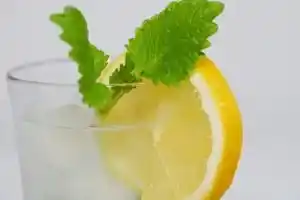 Wasser mit Frischezutaten